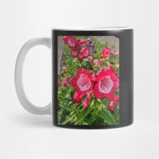 gift, for birthday happy birthday beautiful, flower Mug